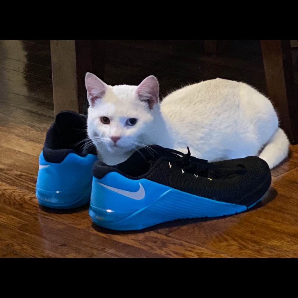 Meet your Posher, Daniel